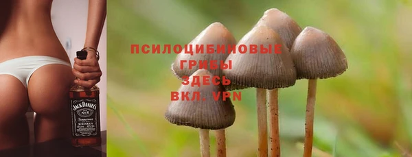 мяу мяу мука Надым