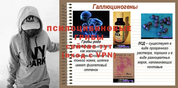 мяу мяу мука Надым