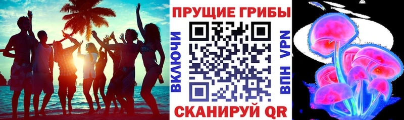купить  цена  кракен ТОР  Галлюциногенные грибы MAGIC MUSHROOMS  Исилькуль 